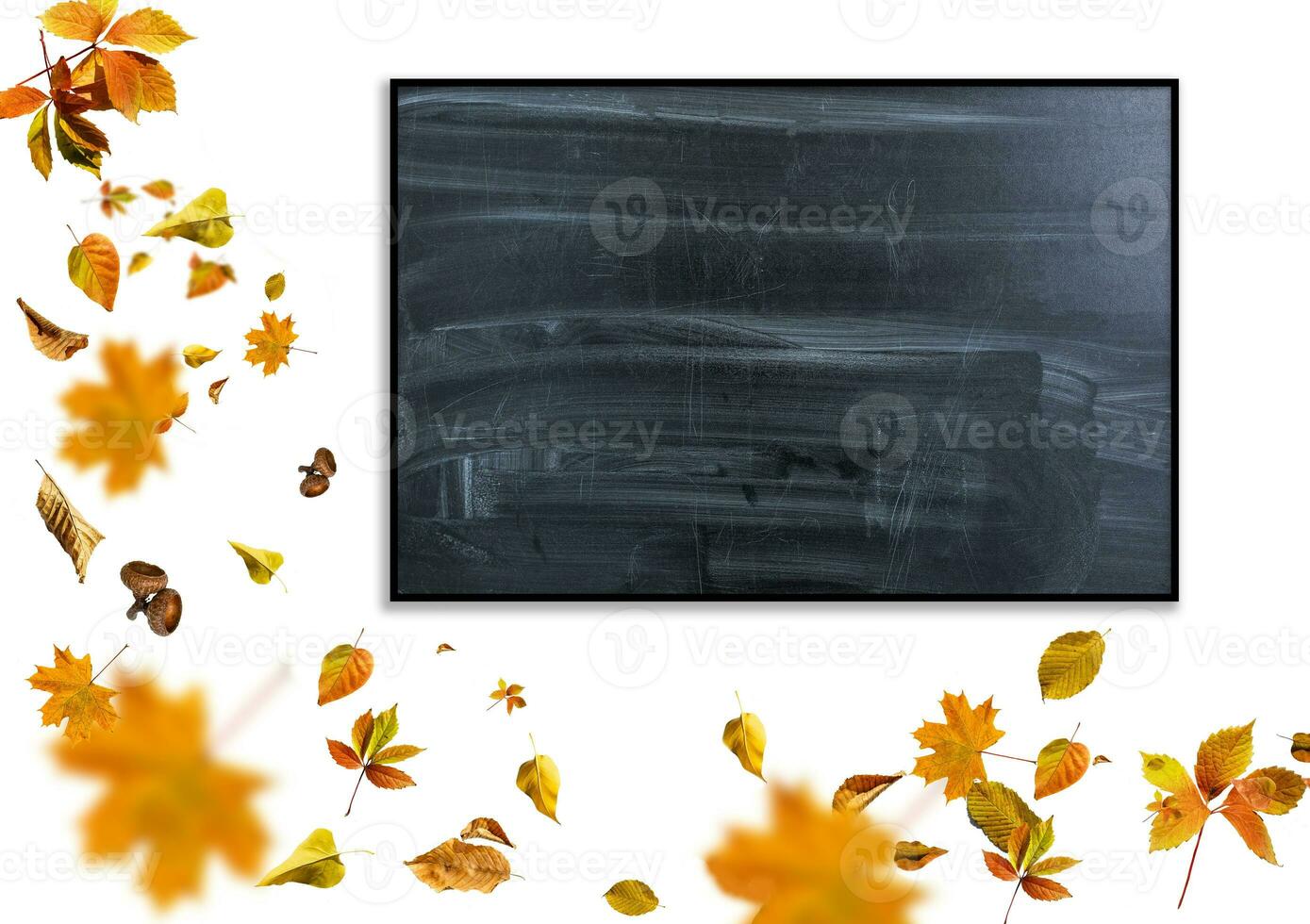 Autumn background with fall leaves. Black chalkboard in center with copy space for your text. Cozy Autumn Still Life. Back to School Concept. photo