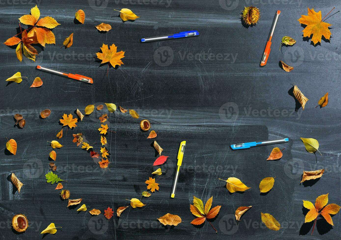 The watch dial from the leaves on a dark background photo