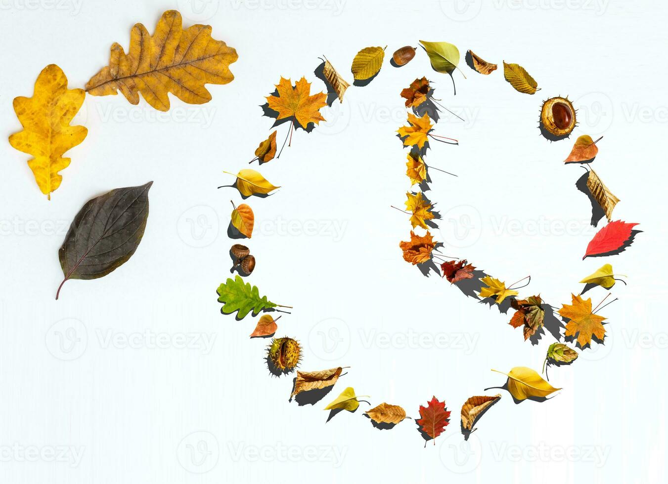 The watch dial from the leaves on a white background photo