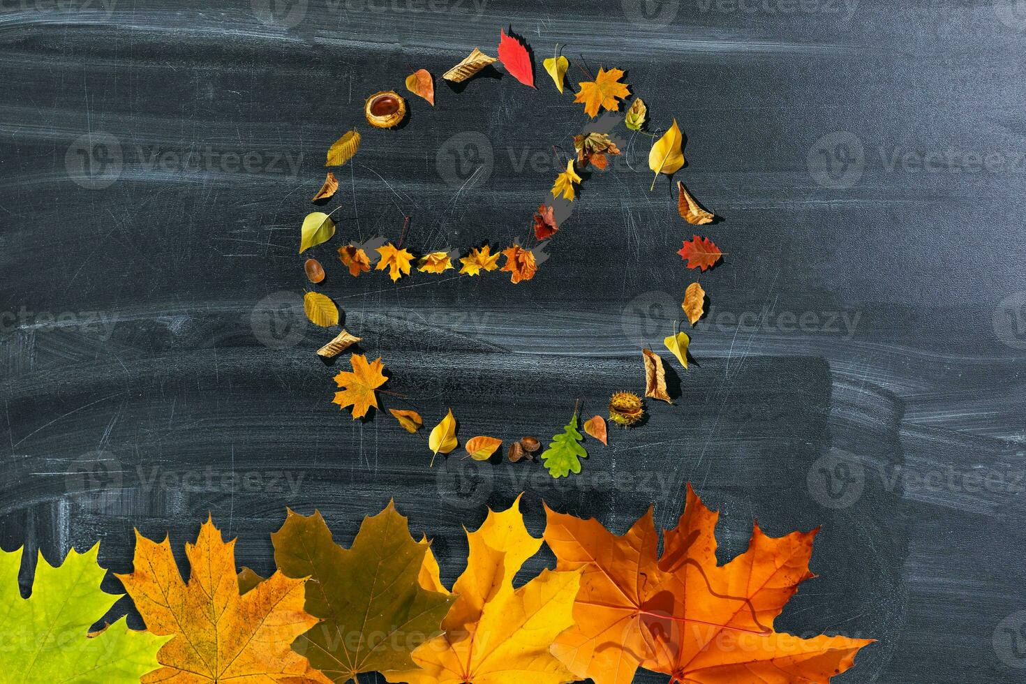 The watch dial from the leaves on a dark background photo