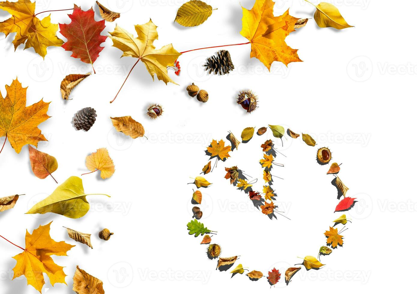 The watch dial from the leaves on a white background photo