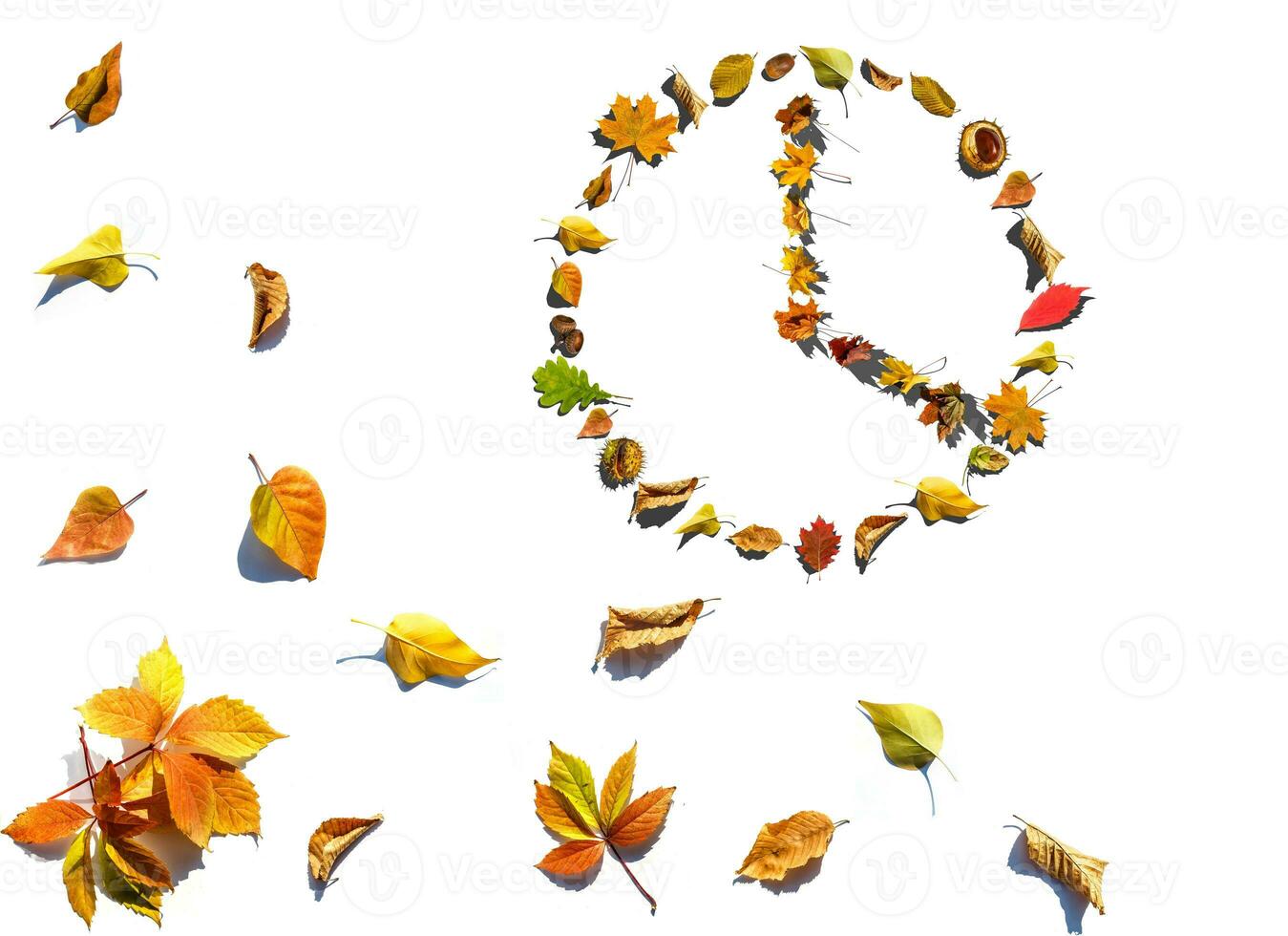 The watch dial from the leaves on a white background photo