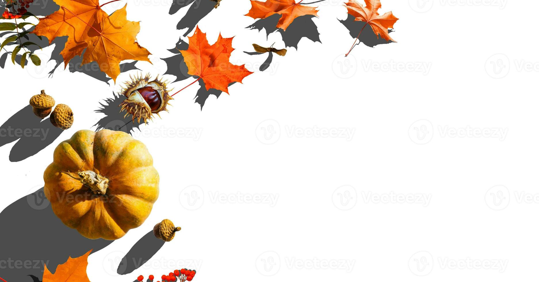 Autumn scene with pumpkins, Halloween or Thanksgiving background, copy space photo