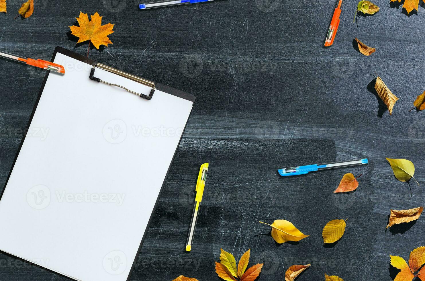 Back to school concept. Top view banner school bus and pencils next to tree sketch with autumn dry leaves over classroom blackboard background photo