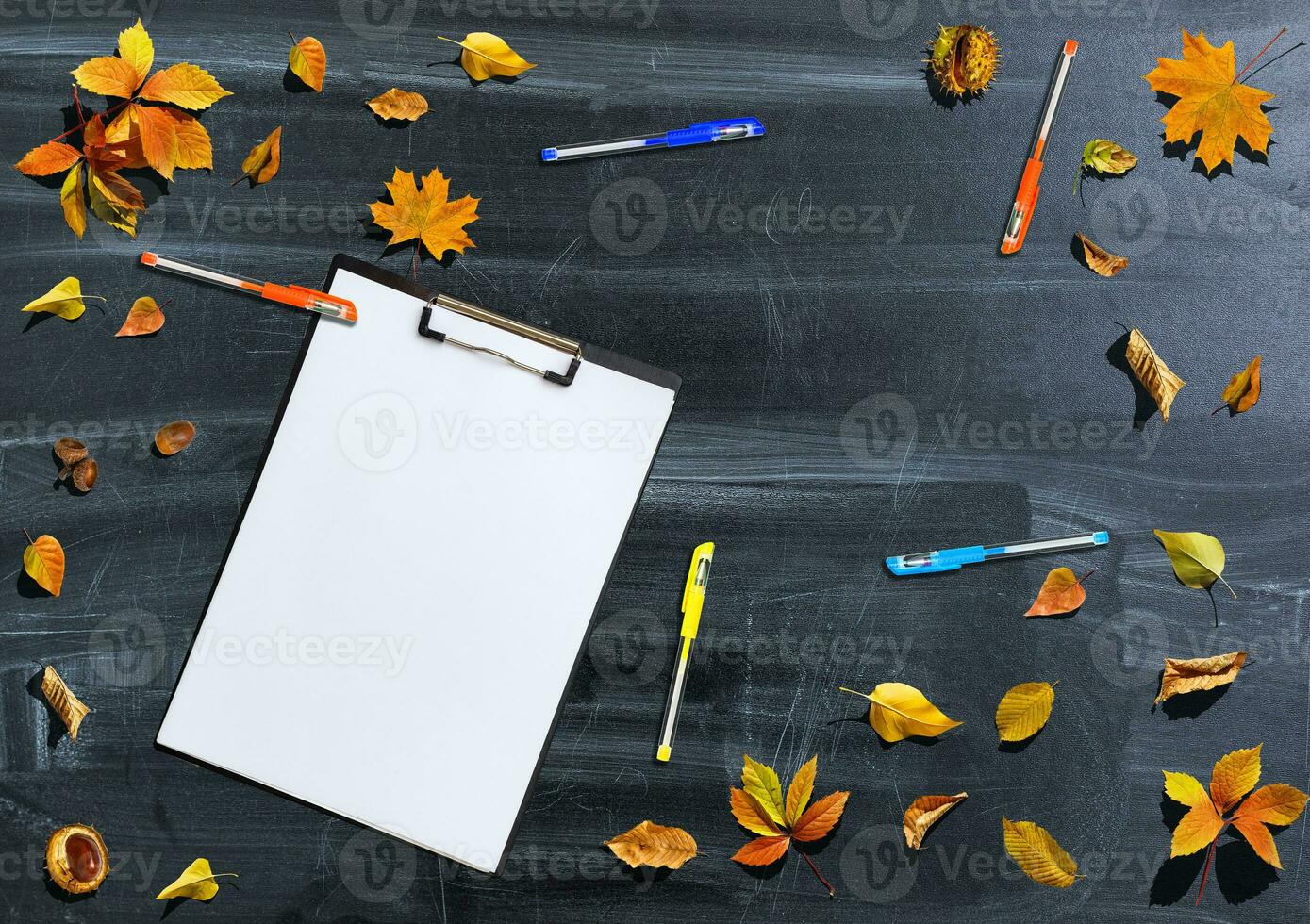 Back to school concept. Top view banner school bus and pencils next to tree sketch with autumn dry leaves over classroom blackboard background photo