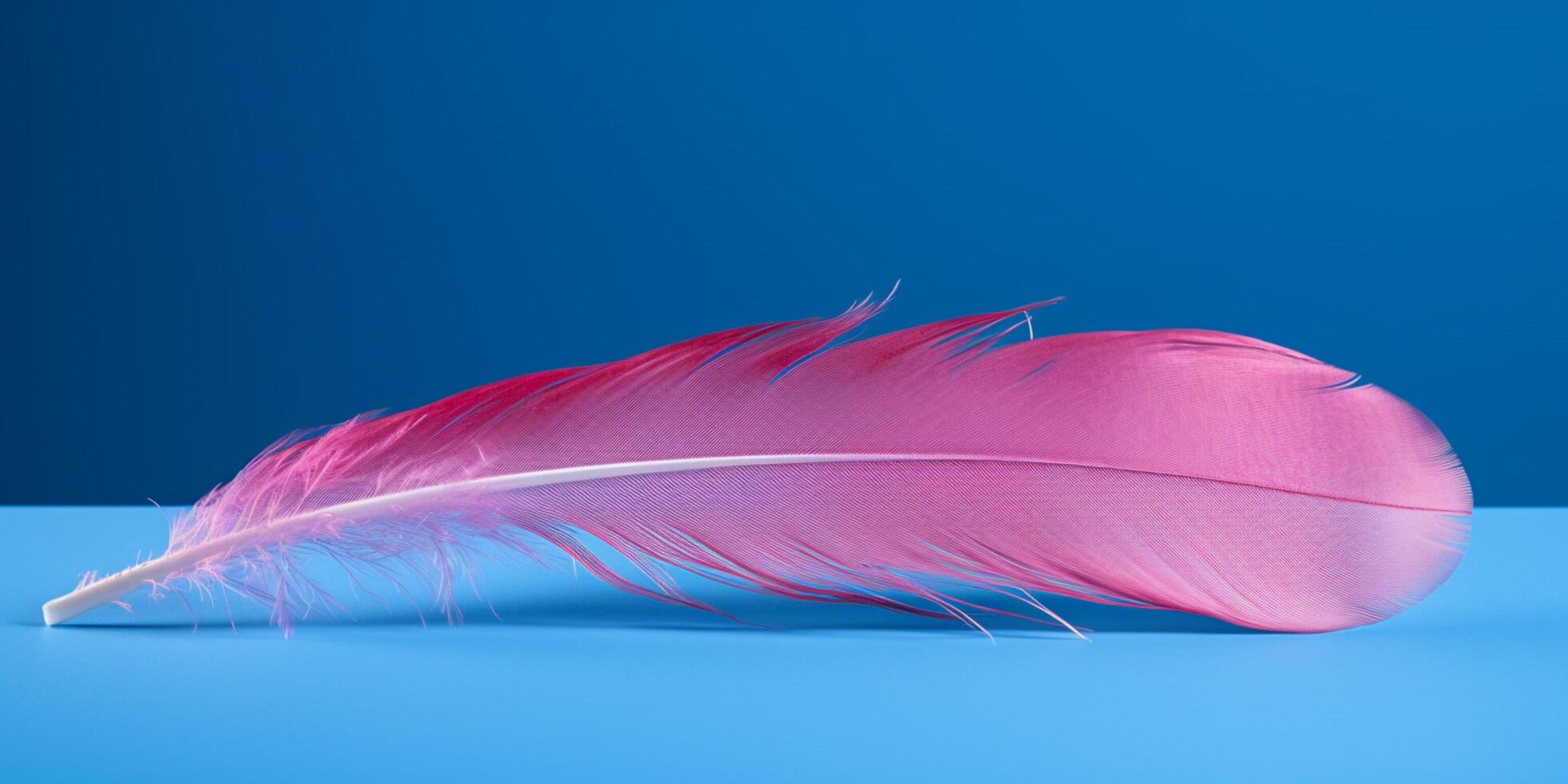 Pink feather is shown in blue background photo