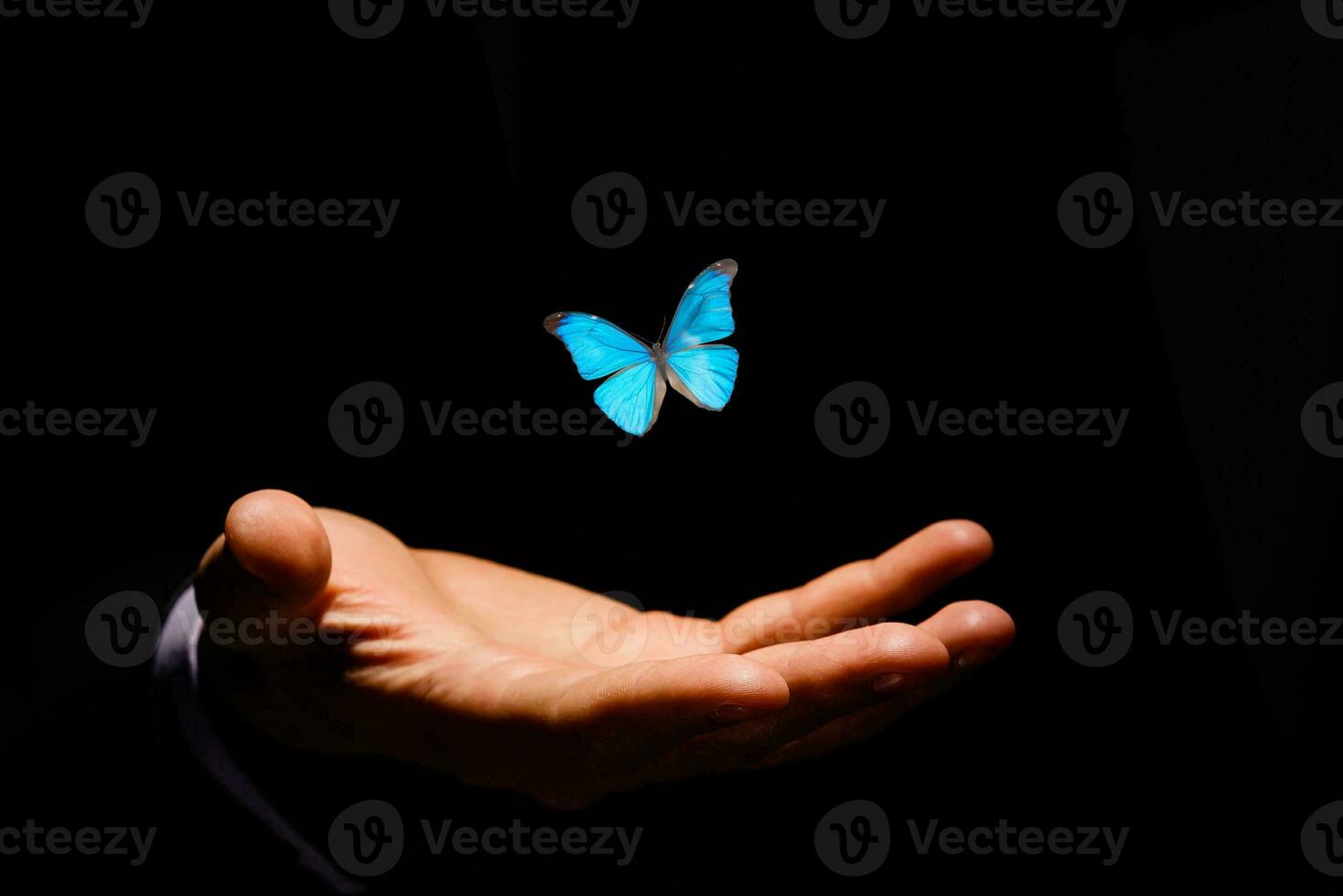 butterflies over hand over dark background photo