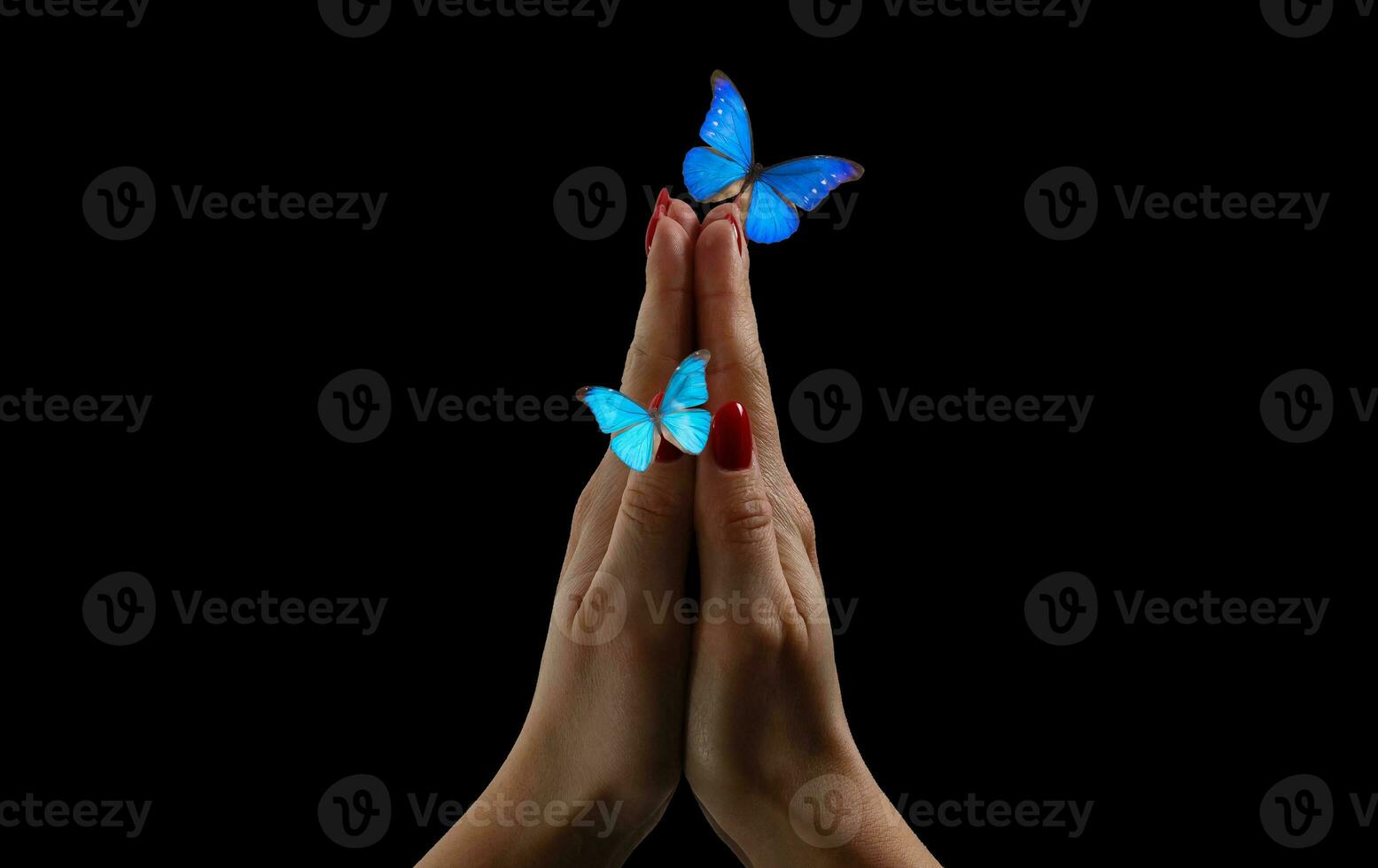 butterflies over hand over dark background photo