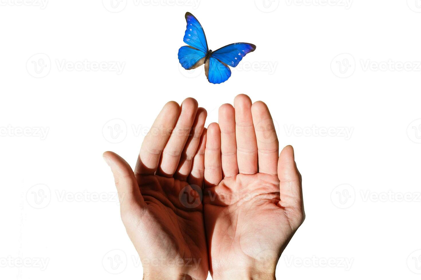 man's hand with a butterfly on the fingers of pulled up on white background photo