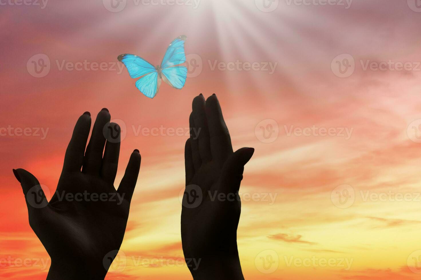 man's hand with a butterfly on the fingers of pulled up against the sky background photo