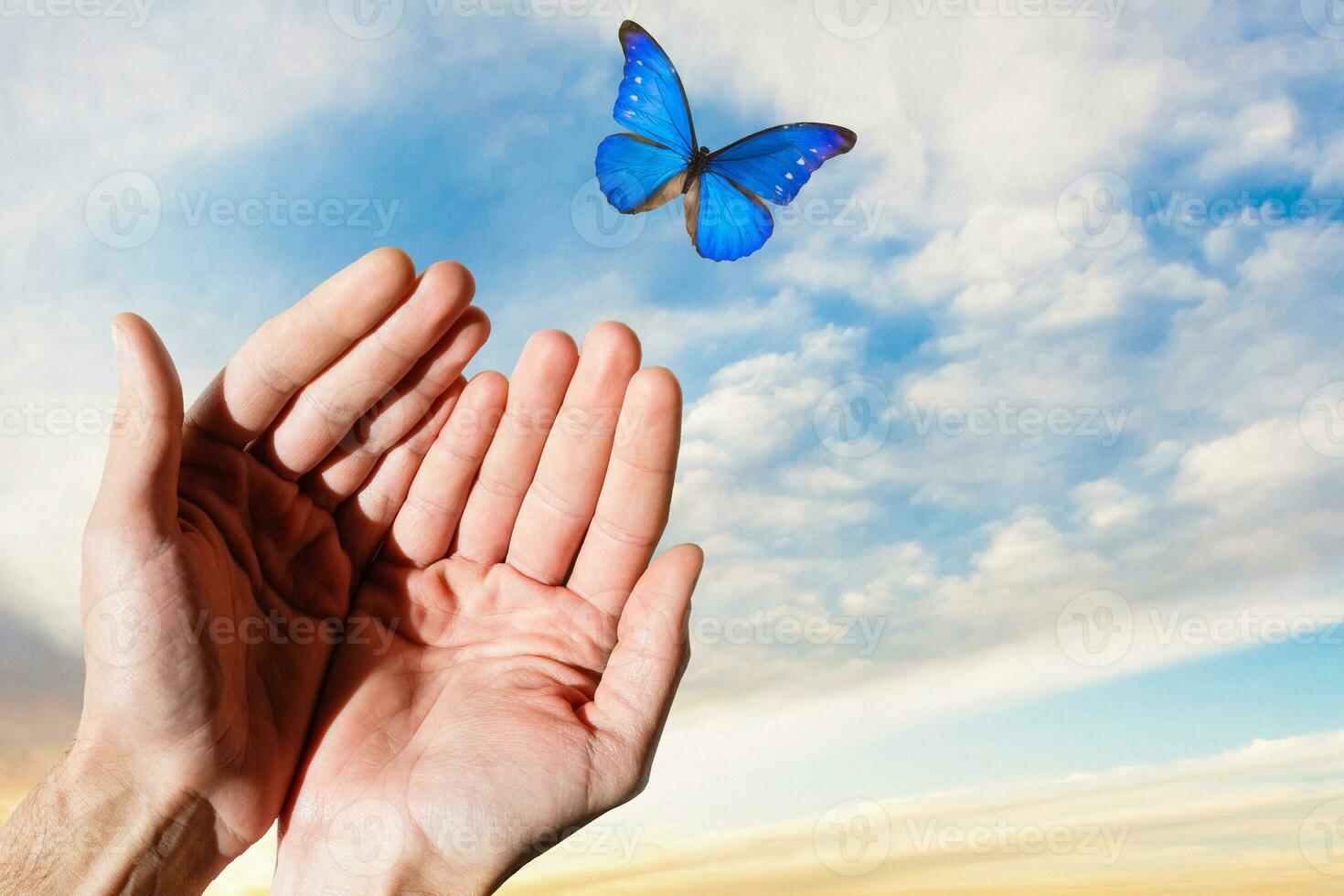 man's hand with a butterfly on the fingers of pulled up against the sky background photo