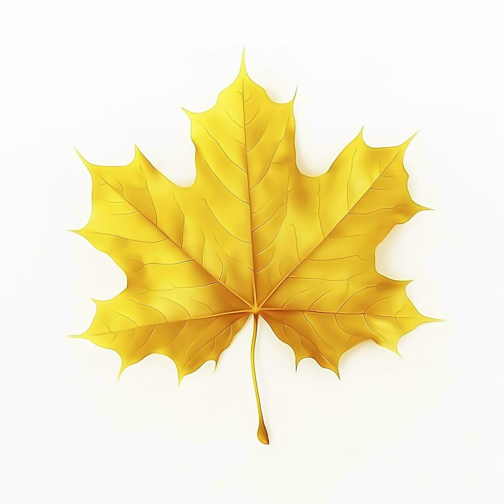 yellow maple leaf leaves on white background, generate ai photo