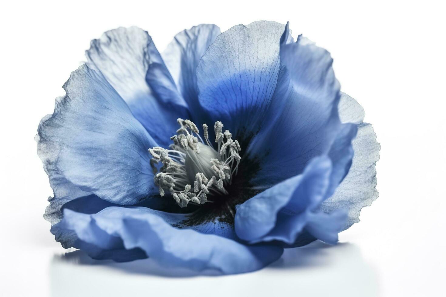 Blue flower isolated on white background, png with transparency , generate ai photo