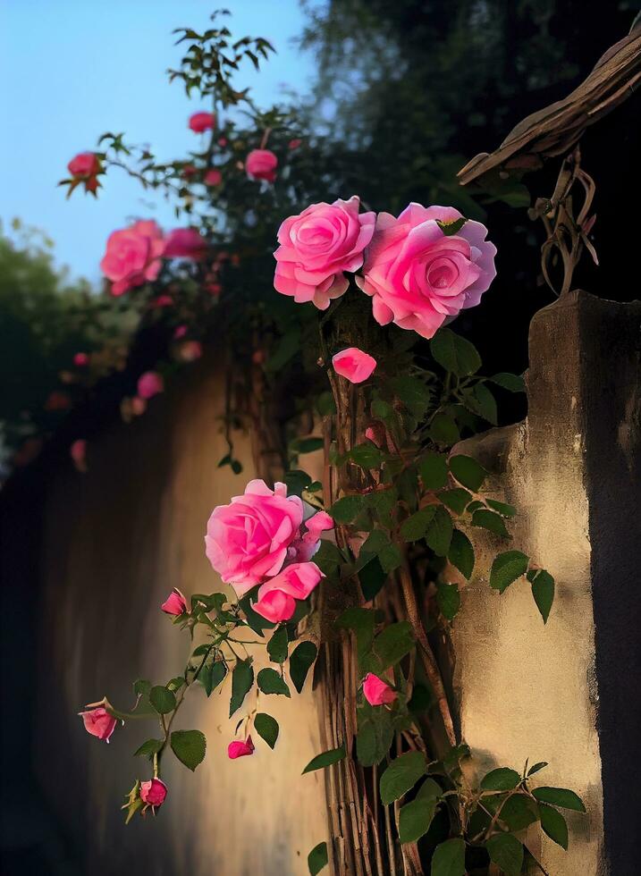 grupo de rosado rosas sentado en parte superior de un de madera cerca, generar ai foto