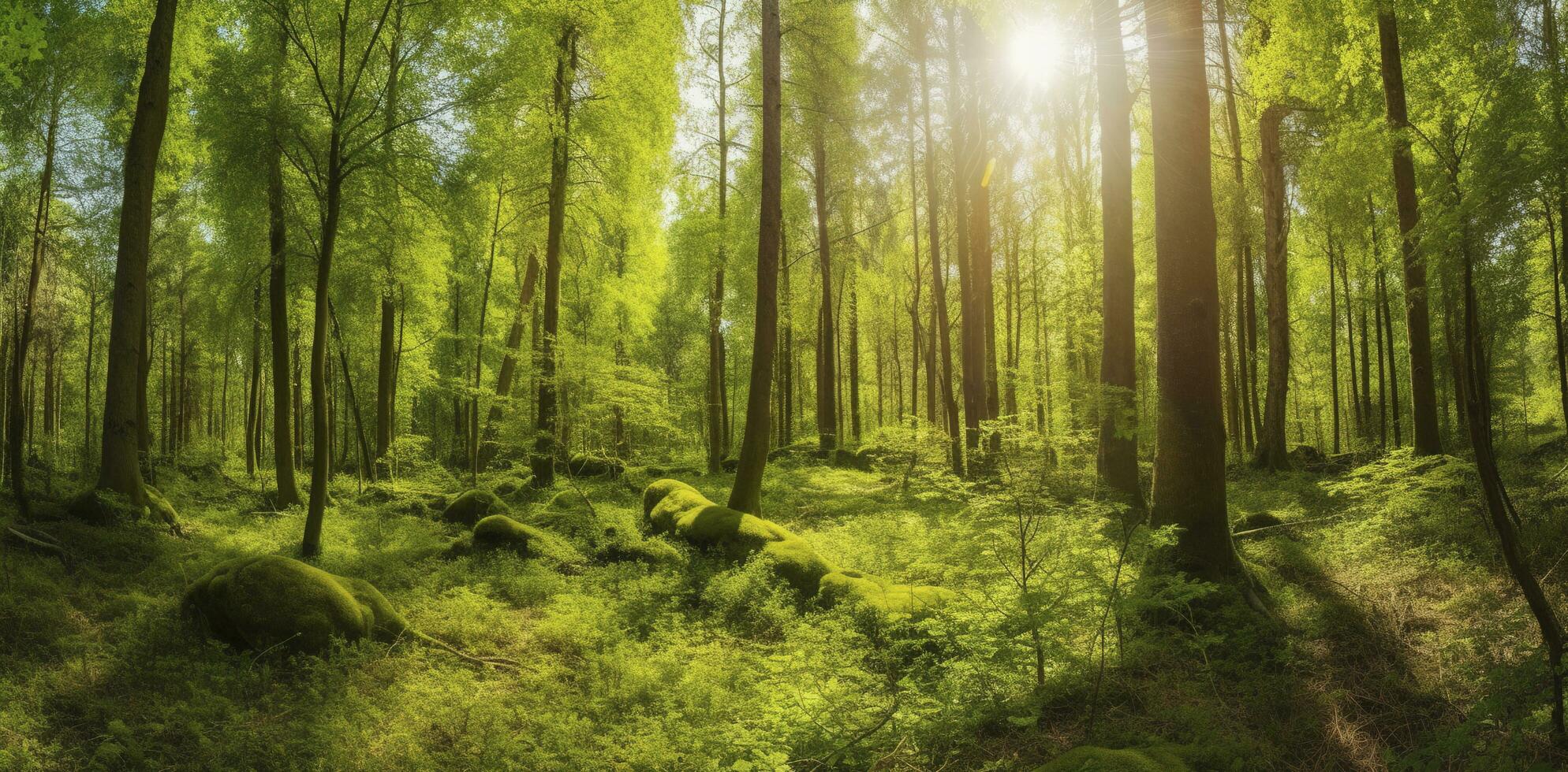 Beautiful rays of sunlight in a green forest, generate ai photo