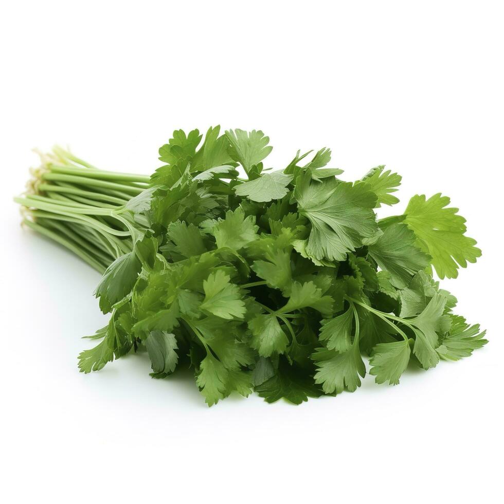fresh cilantro coriander isolated on white background, generate ai photo