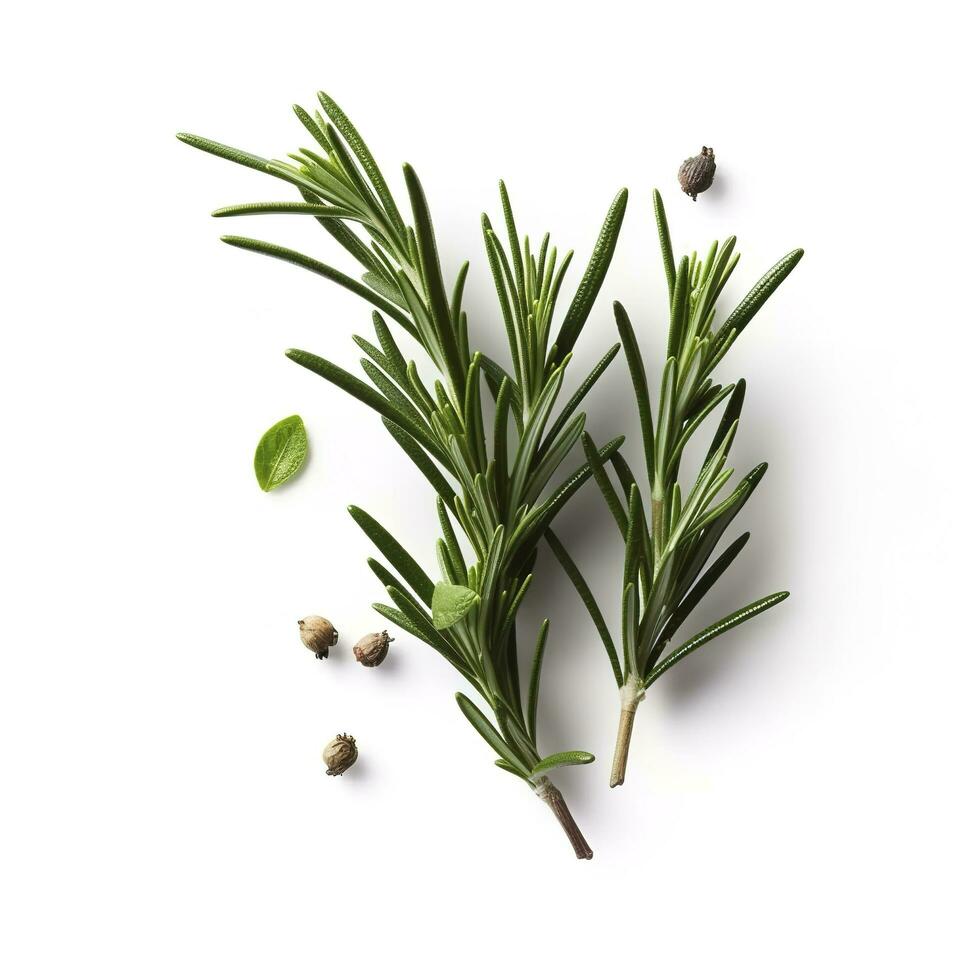 Fresh green organic rosemary leaves and pepper isolated on white background. natural transparent shadow, Ingredient, spice for cooking. collection for design, generate ai photo