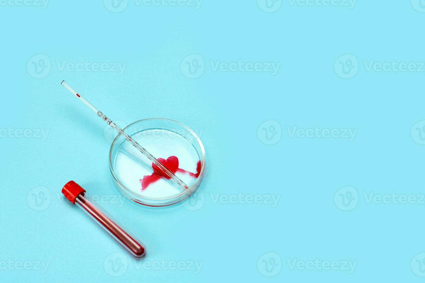 Petri dish with blood stain in the form of a heart, test tube, with blood from copy space photo