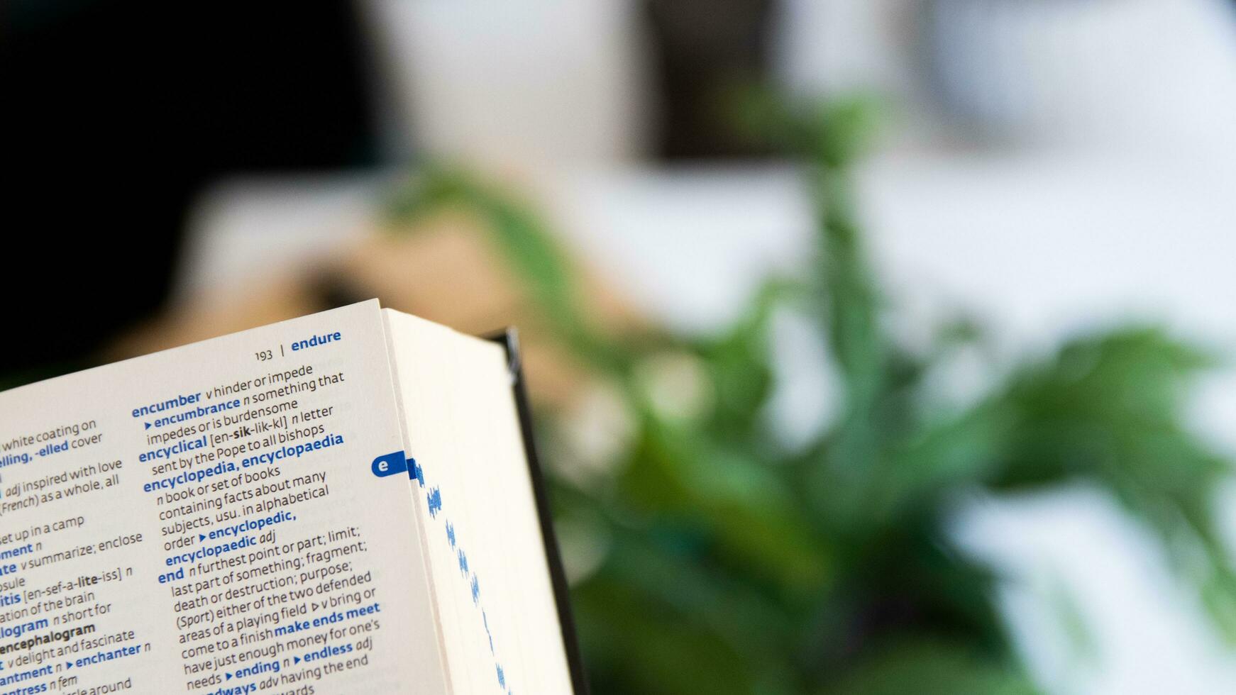 English dictionary open with the background of a living room photo