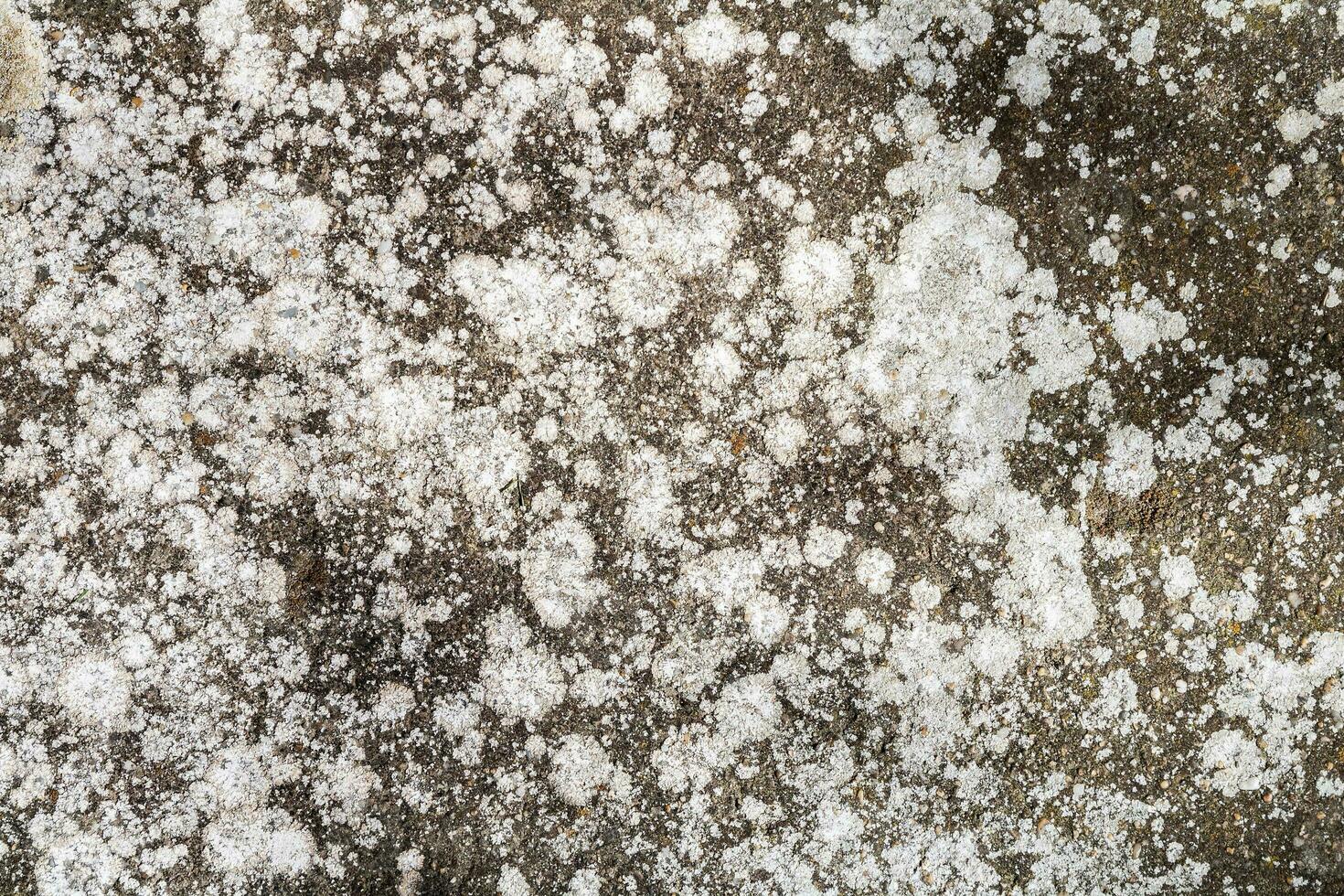 Cracked and abstract grunge texture. Aged material surface backdrop. Weathered effect pattern. Old and dirty background. photo