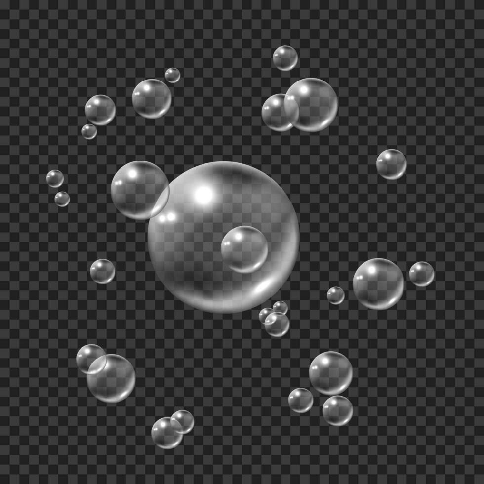 Soapy bubbles. Circle water bubbles. Vector illustration