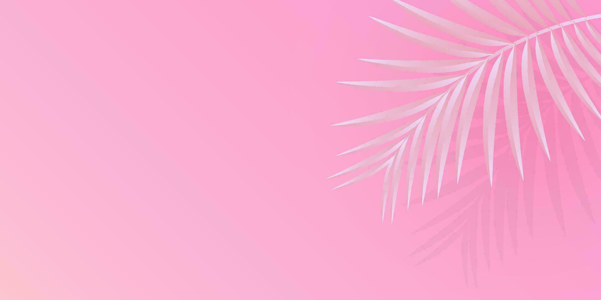 Palm tree background pink and white. Horizontal orientation, copy space. Vector design.