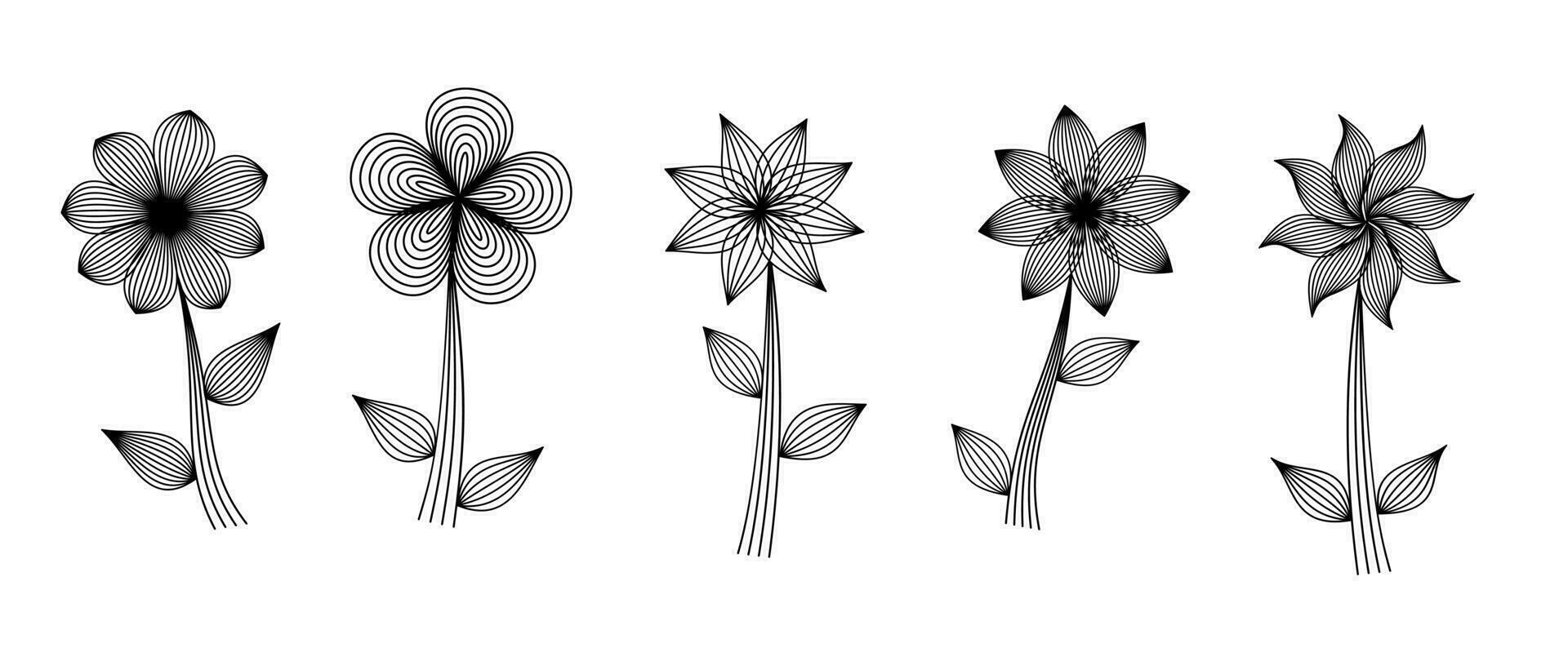 set of line flower art on white background vector design