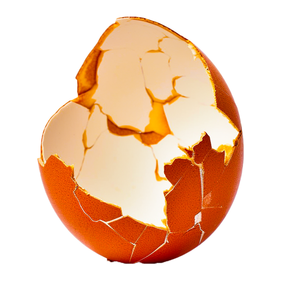 Egg Shell PNG Ai Generative