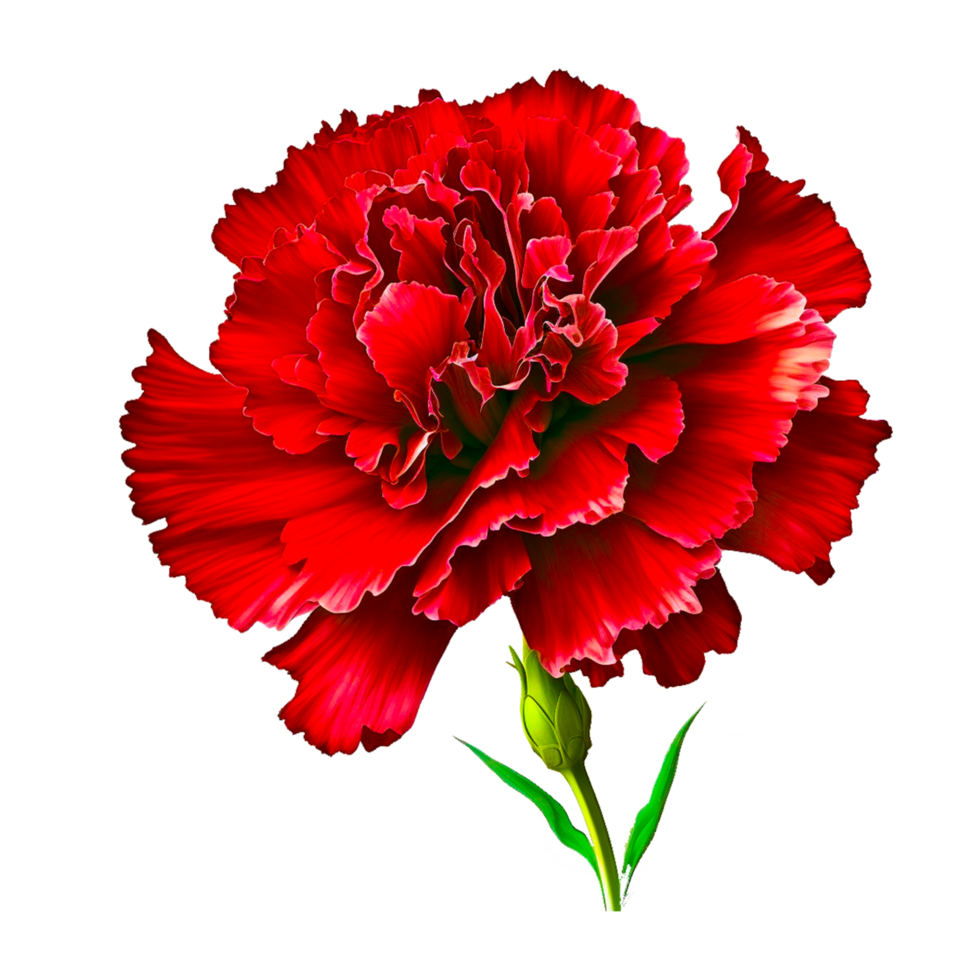 Maroon Flower images png