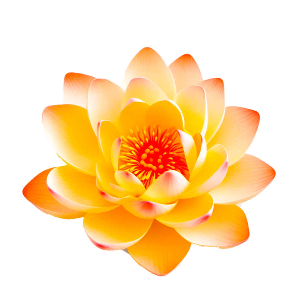 fleur tatouage, d'or lotus gratuit Boucle matériel, d'or cadre, gratuit logo conception modèle, Orange png ai génératif