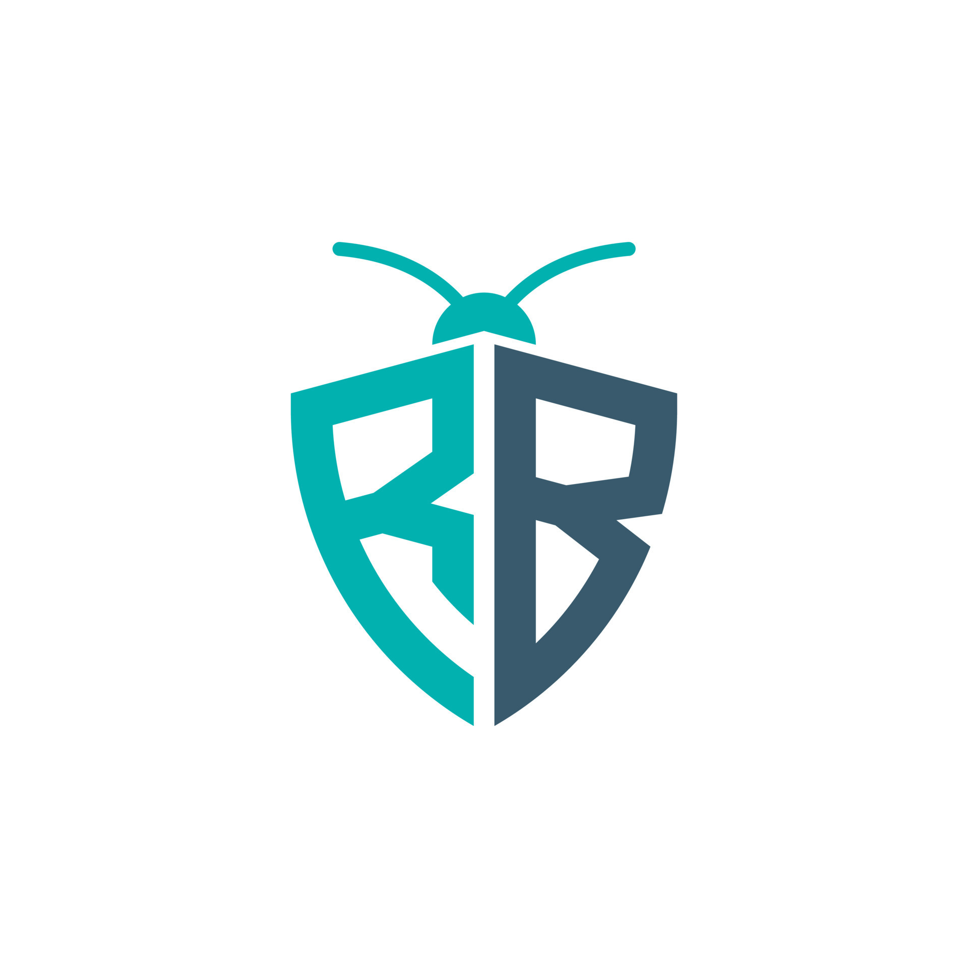 Letters RB Pest Control Logo 24500306 Vector Art at Vecteezy