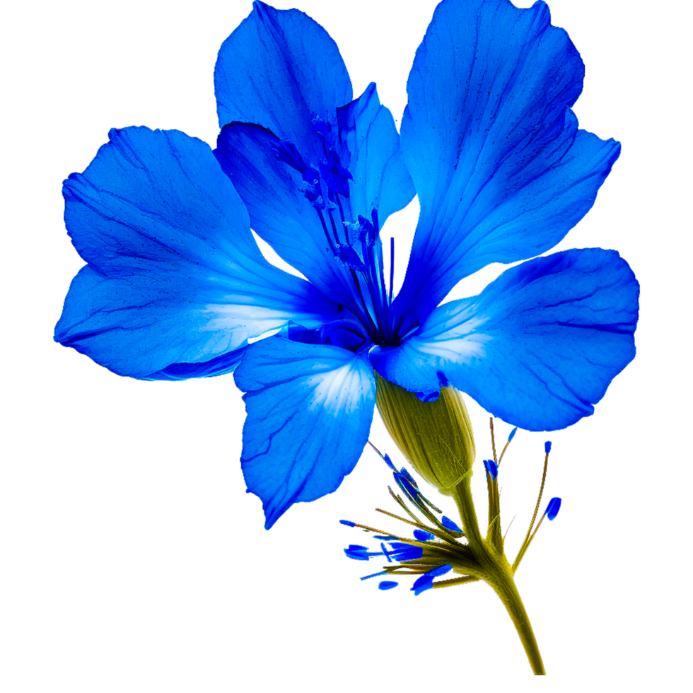 bleu fleur png ai génératif