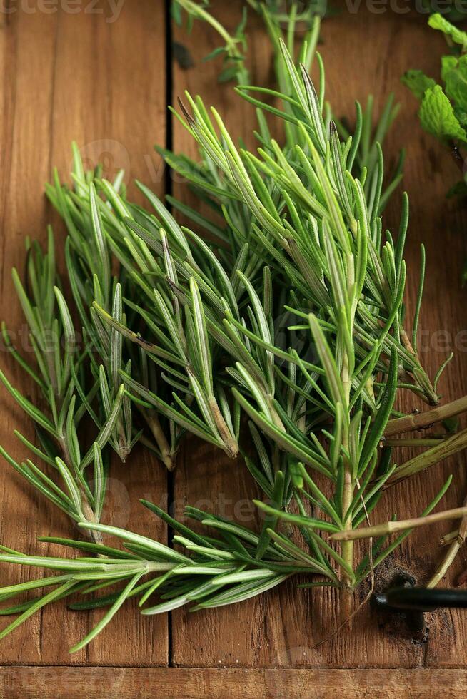 Fresh Rosemary on Wooden Table photo