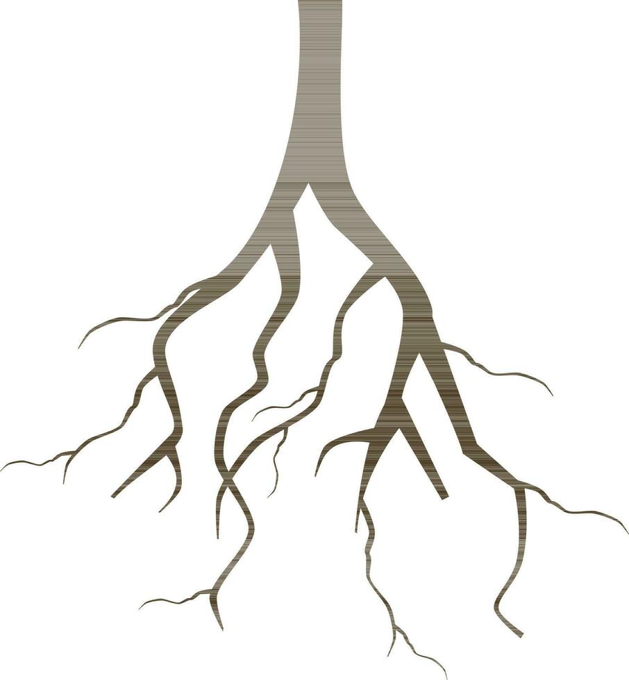 Flat illustration of roots. vector