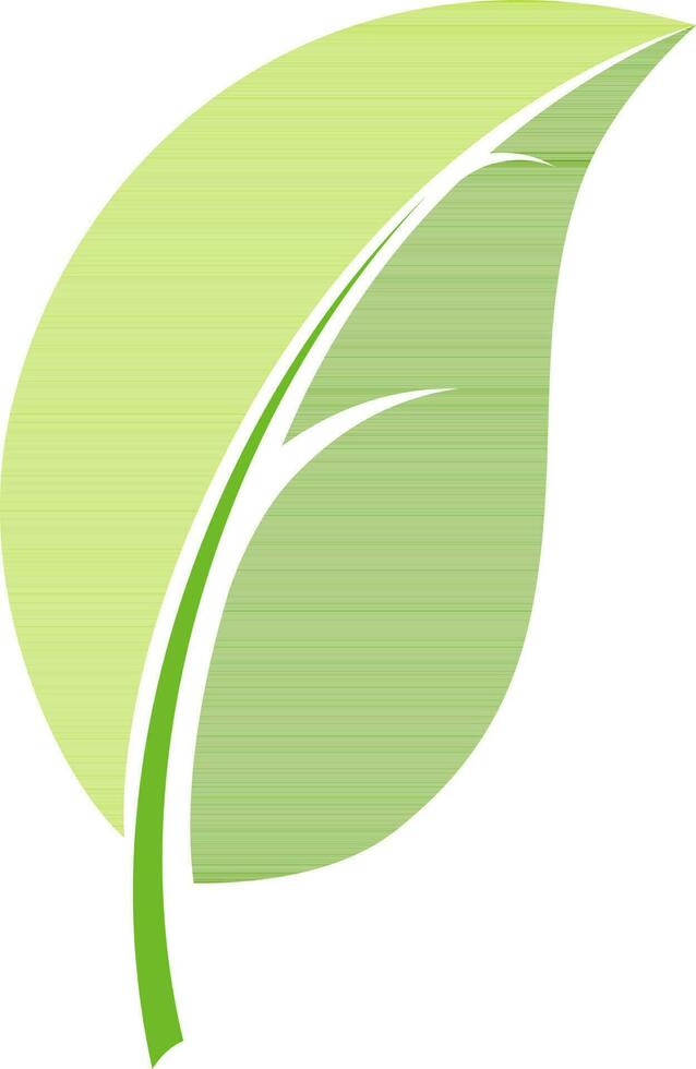 Flat style illustration of green leaf. vector