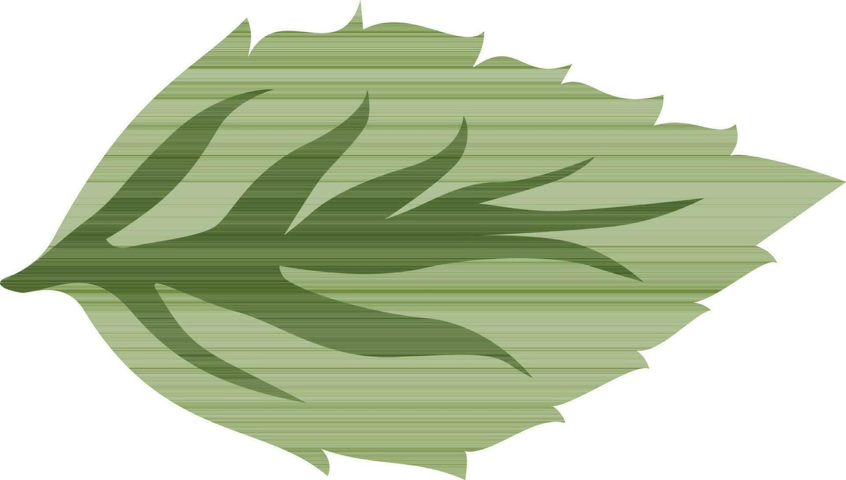 Green leaf on white background. vector