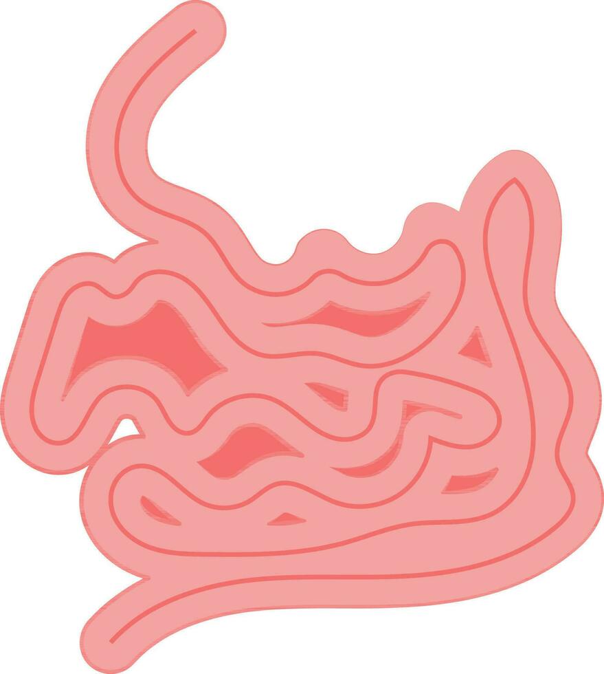 Small Intestine Icon In Flat Style. vector