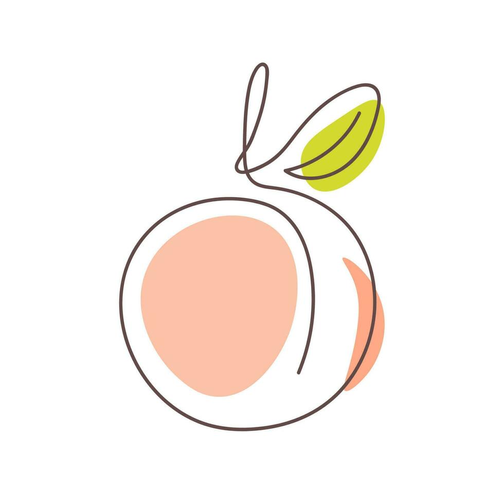 Peach one line drawing art style. Vector illustration isolated on white background. One continuous line drawing style fruit