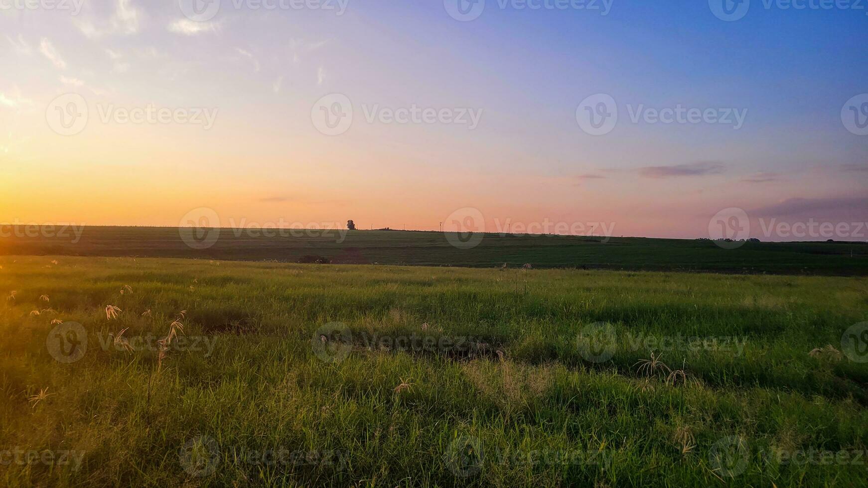 sunset in the middle of nature on a farm photo