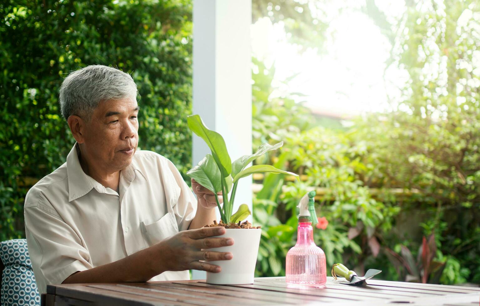 A happy and smiling Asian old elderly man is planting for a hobby after retirement in a home. Concept of a happy lifestyle and good health for seniors. photo