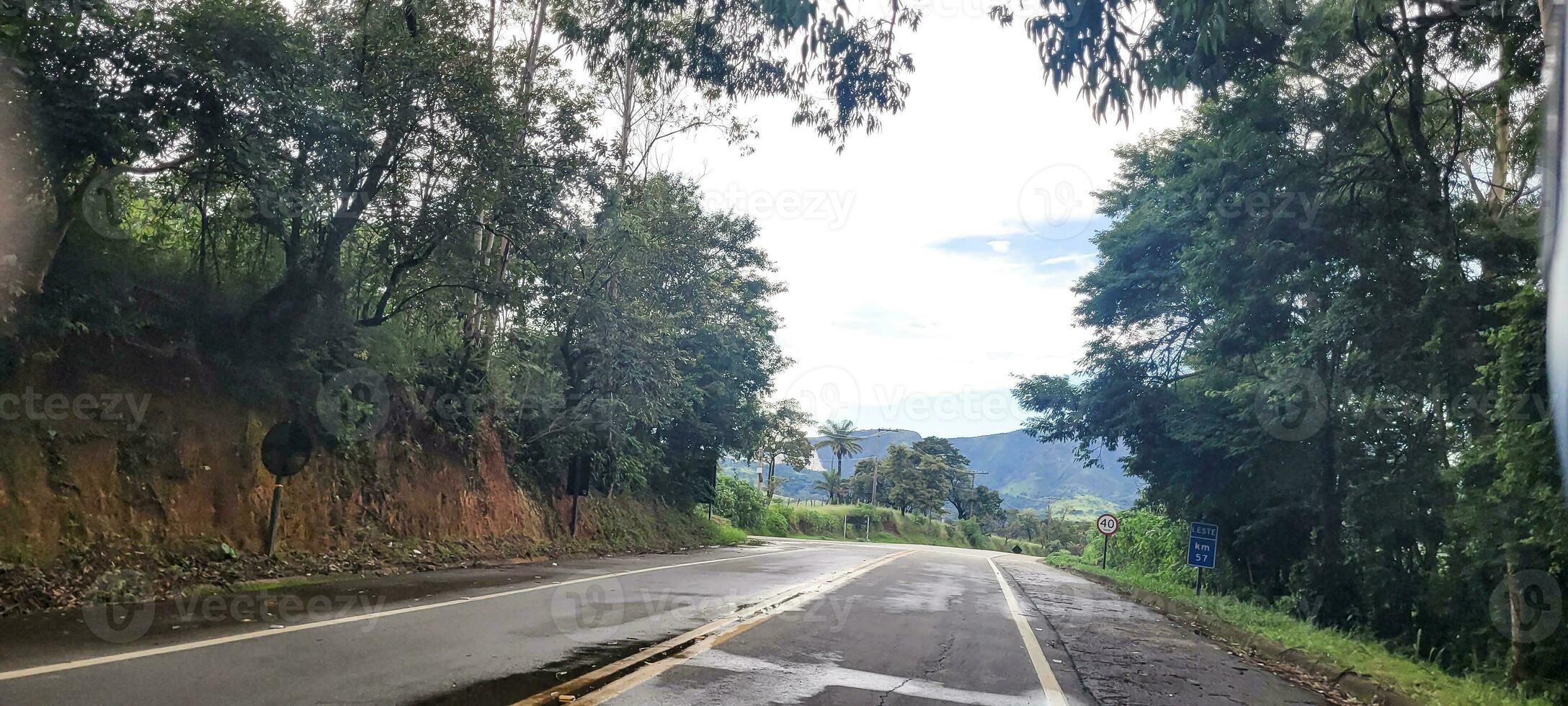 beautiful road with forest around photo