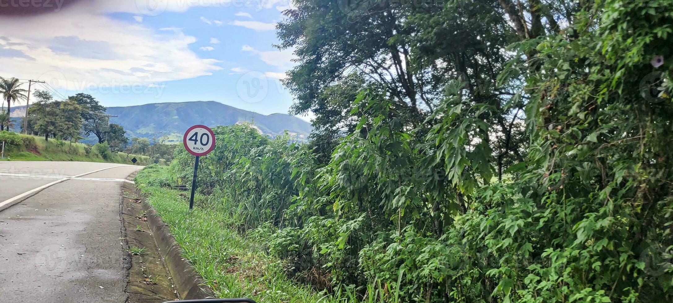 beautiful road with forest around photo