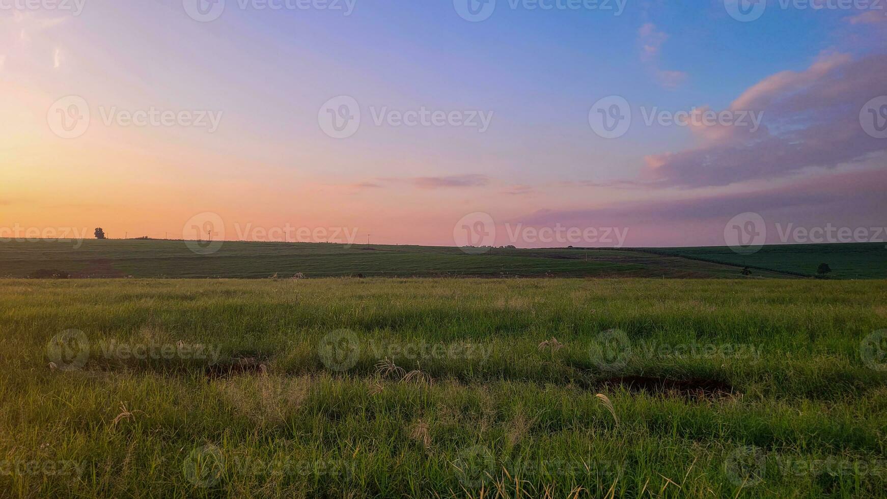 sunset in the middle of nature on a farm photo