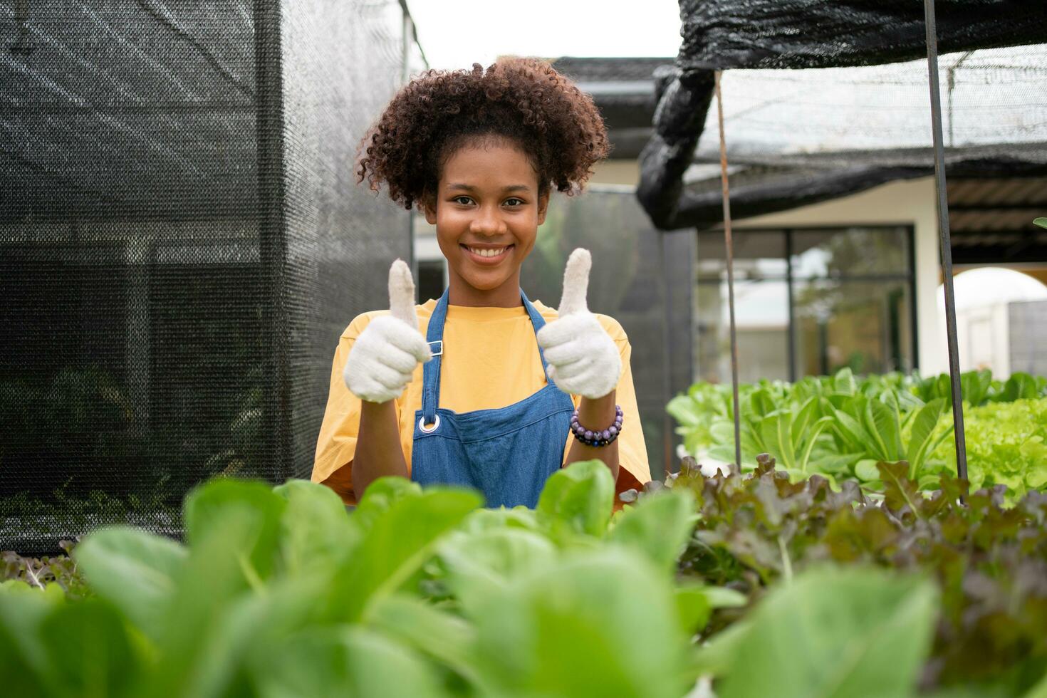 Portrait of happy half Thai half African woman farmer standing behind vegetable plot in her backyard. Concept of agriculture organic for health, Vegan food and Small business. photo