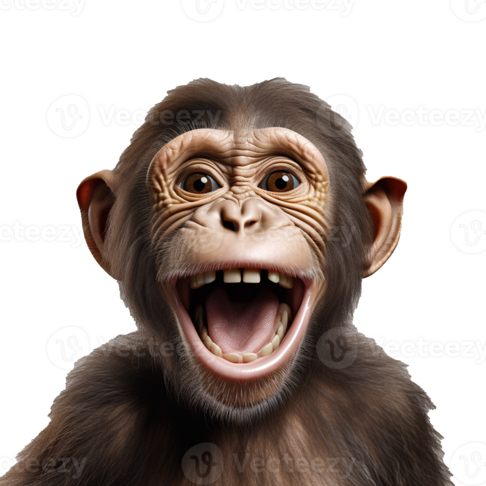 happy monkey isolated on background with png