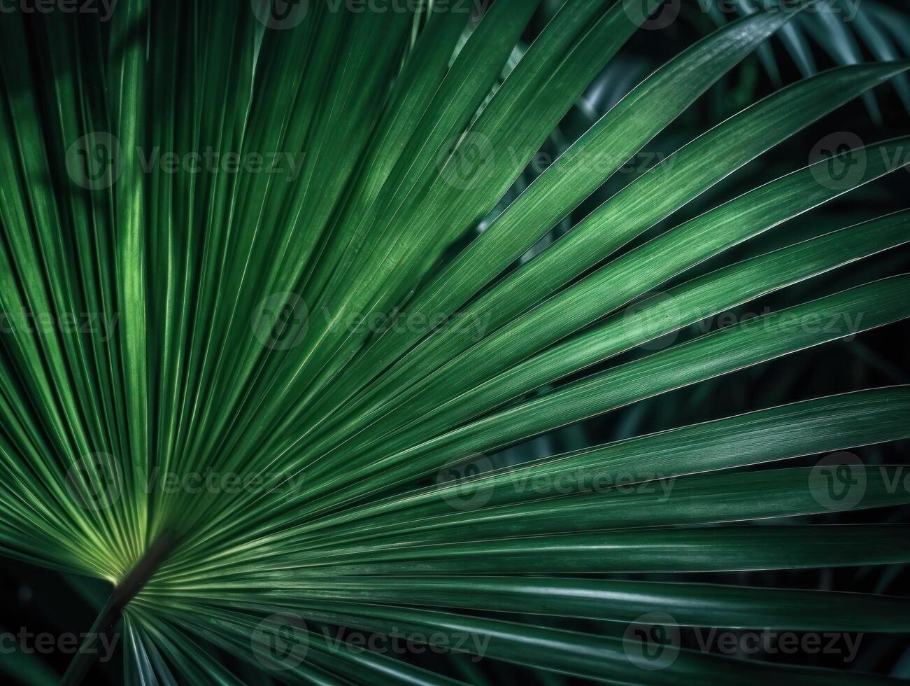 Beautiful green palm leaves background. Tropical nature concept. Selective focus. Created with technology. photo