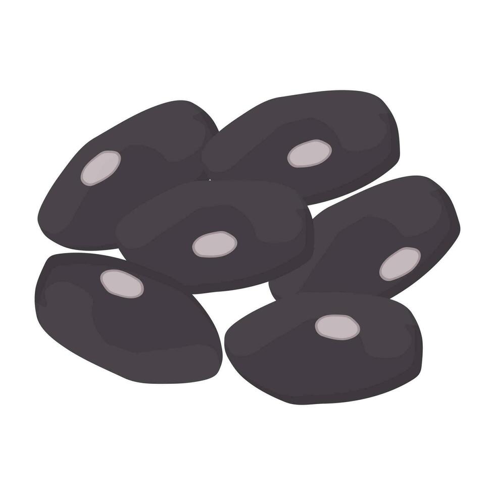 Black beans with white eye in the middle, icon for turtle beans vector