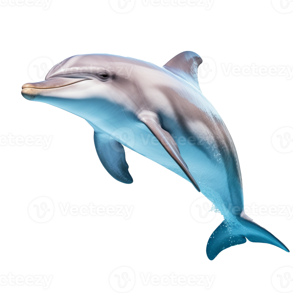 delfín aislado en antecedentes con generativo ai png