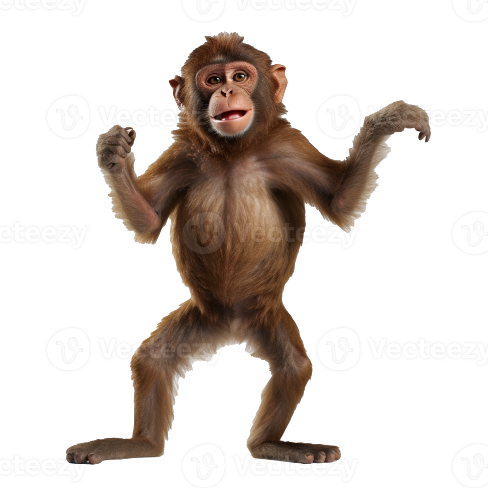 happy monkey isolated on background with png