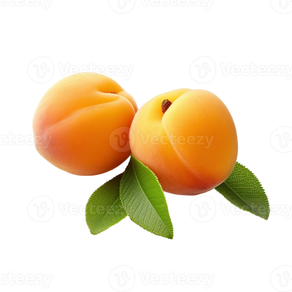 Apricots isolated on transparent background, created with png